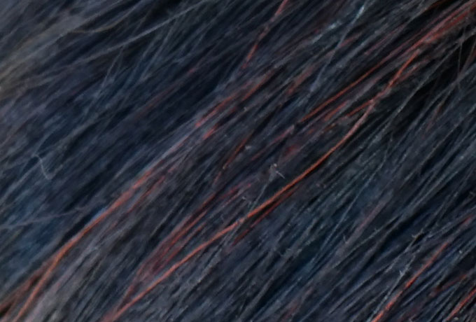 拡大写真:白髪部分の染まりが茶赤に発色している。