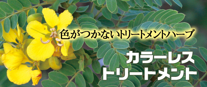 マハラニカラーレストリートメント