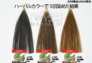 ハーバルカラー３５７の染まり方比較と染め方