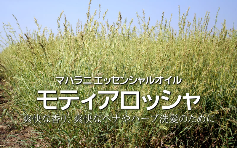 マハラニ モティアロッシャ