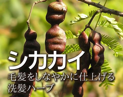 ハーブシャンプーシカカイ