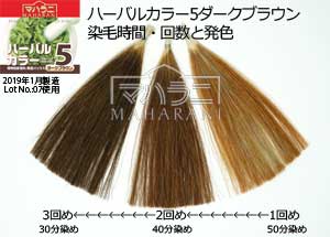 ハーバルカラー５の染め方のコツ