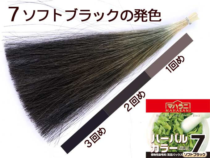 ハーバルカラー７ソフトブラックの発色 