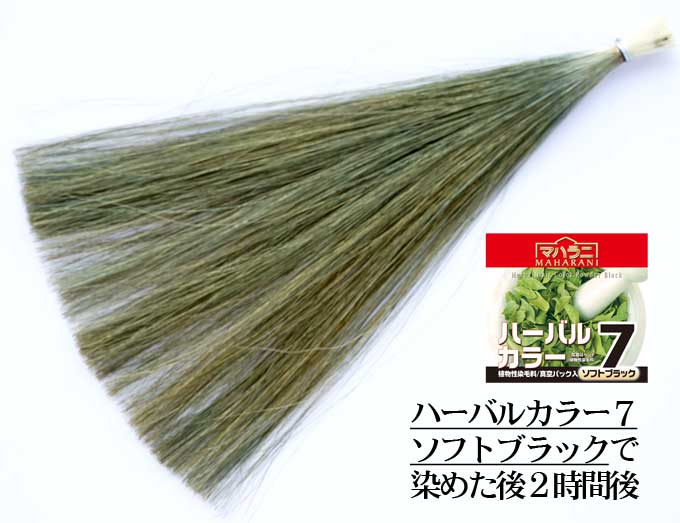  ハーバルカラー７で染めたら緑っぽく発色した