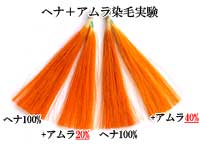 ヘナ＋アムラの染毛実験～アムラはヘナの染毛力にどう影響する？