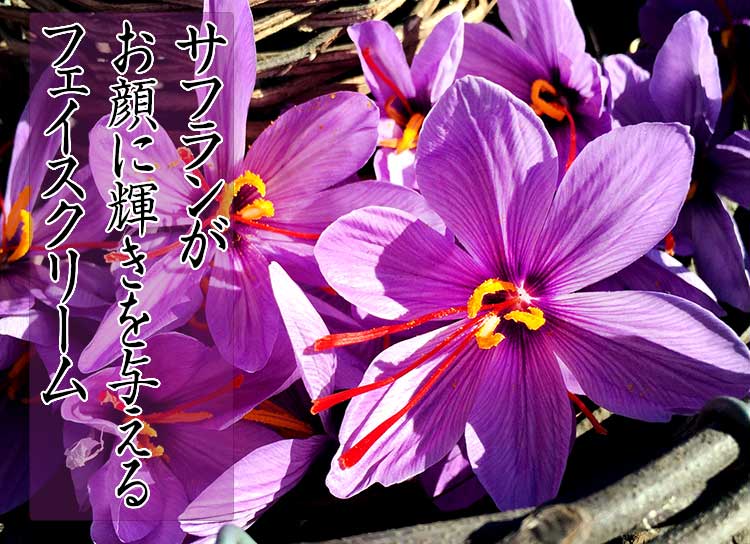 サフラン配合