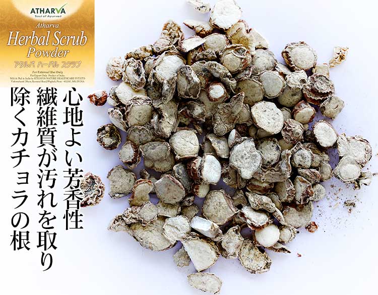 カチョラ