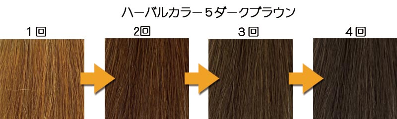 ハーバルカラー５ダークブラウンで白髪を染め続けた場合の染まりイメージ