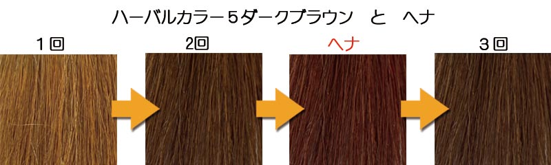 ハーバルカラー５ダークブラウンをヘナで赤味戻し