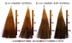 ハーバルカラー５を続けると白髪が黒髪に発色する