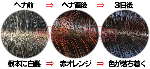  ヘナ白髪染めの推移