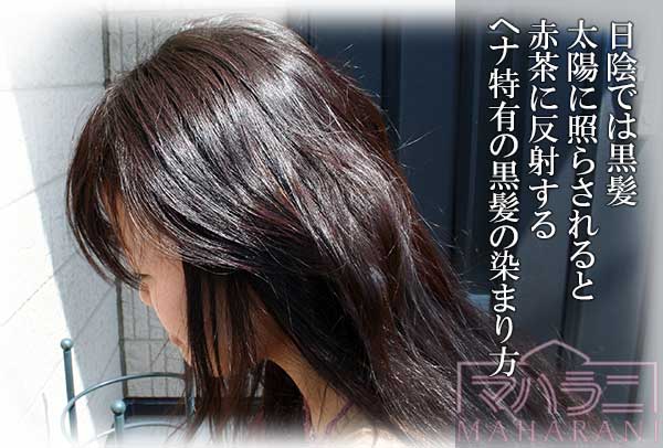 ヘナで黒髪を染めると太陽に光り輝く