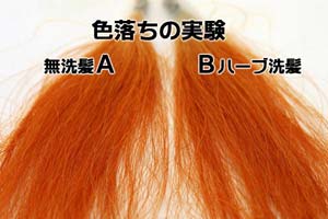 実験・ヘナと相性がよいハーブシャンプー香る髪