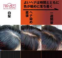 ヘナは染めたら三日待て！白髪の出始めのヘナ白髪染め