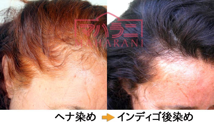 ヘナ後インディゴの染まり例