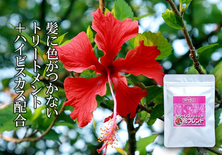 インドではジャスワンドと呼ばれるハイビスカス（和名：ブッソウゲ）の花弁