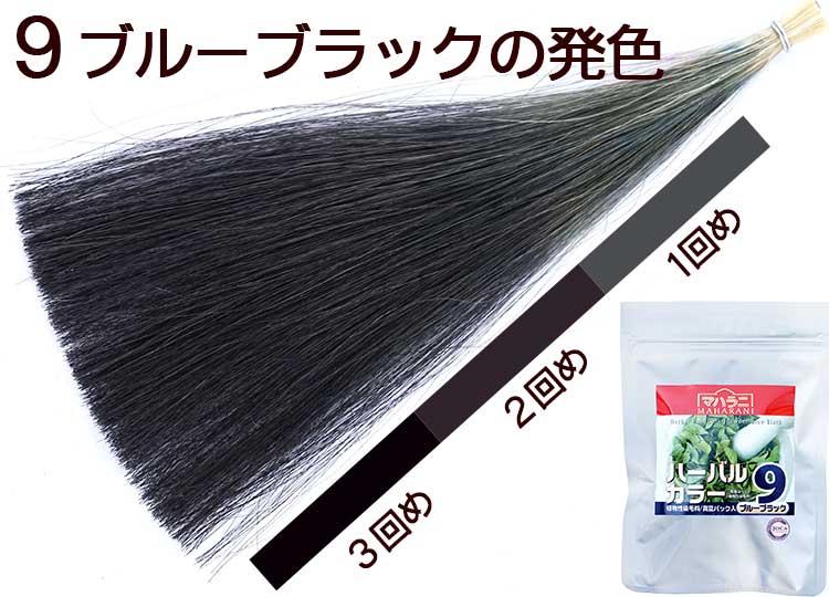 ハーバルカラー９ブルーブラックの染まり方