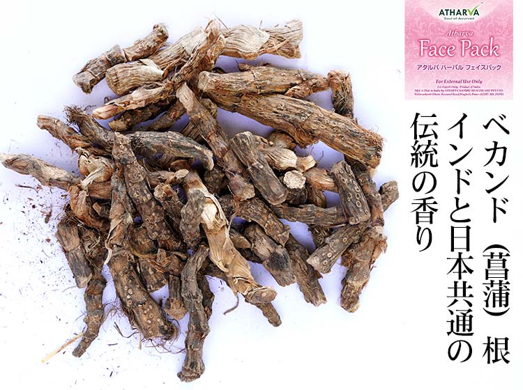 ベカンド菖蒲根