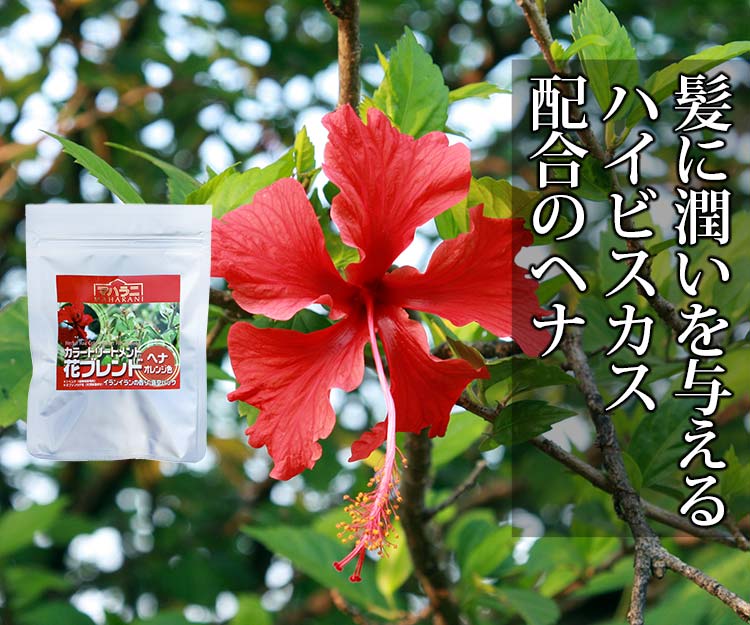 ハイビスカス／ジャスワンド花弁粉末を配合のヘナ