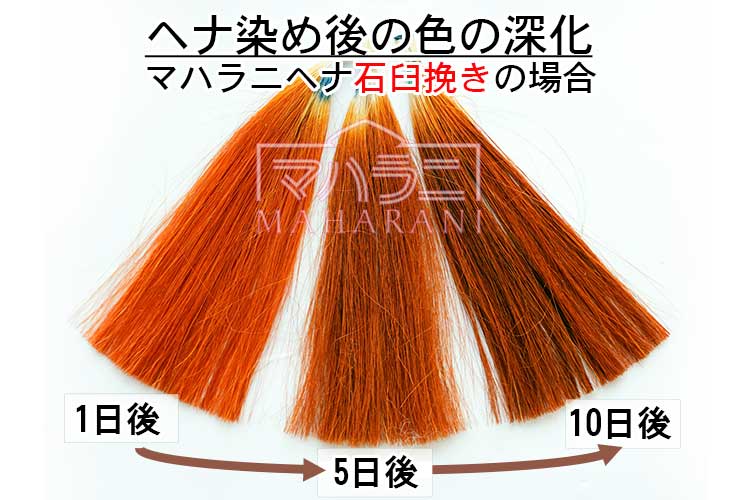 高品質なヘナは染めた後に色が深まっていく