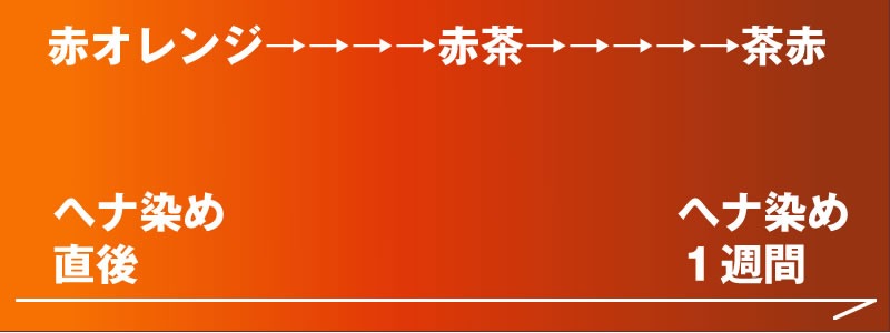 ヘナの染まり方