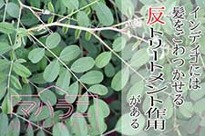 インディゴをすると、髪がごわつきバサバサに