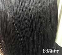 体験者投稿画像