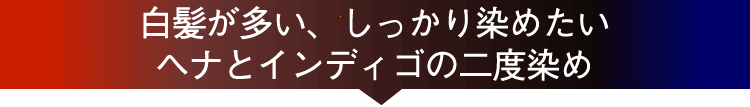 白髪の比率が多く、二度染めで確実に希望の色に染めたい