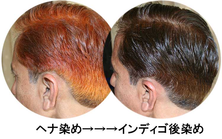 総白髪の染まり方