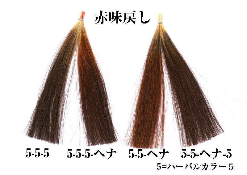 ヘナで赤味戻し