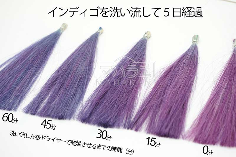 ヘナとインディゴの染まり方モデル