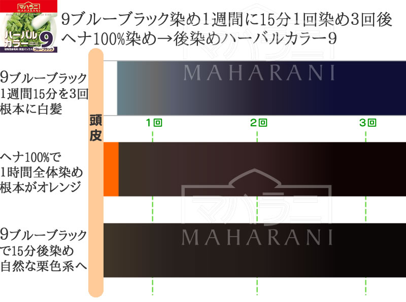 ハーバルカラー９ブルーブラック時短染め１５分の白髪染め