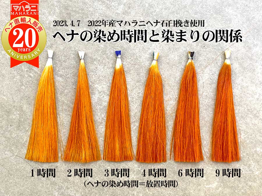ヘナの染め時間（放置時間）と染まり～ヘナは長く染めれば濃く染まる？