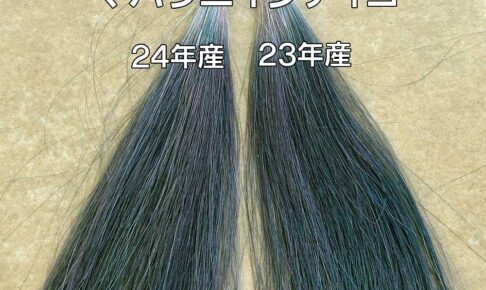 インディゴ染毛力の比較