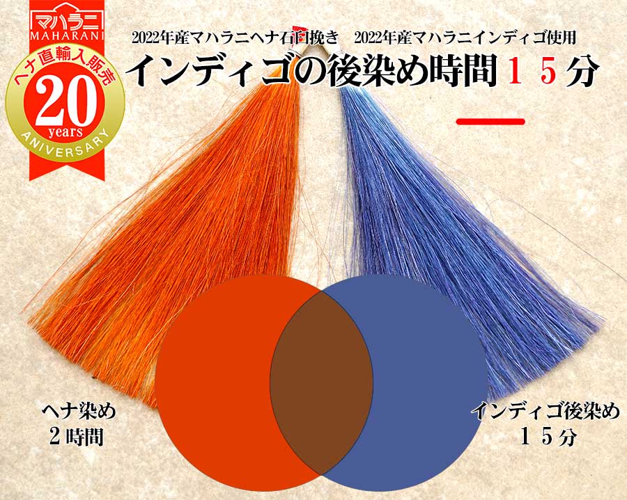 ヘナ染め後インディゴの後染めの染まり方モデル