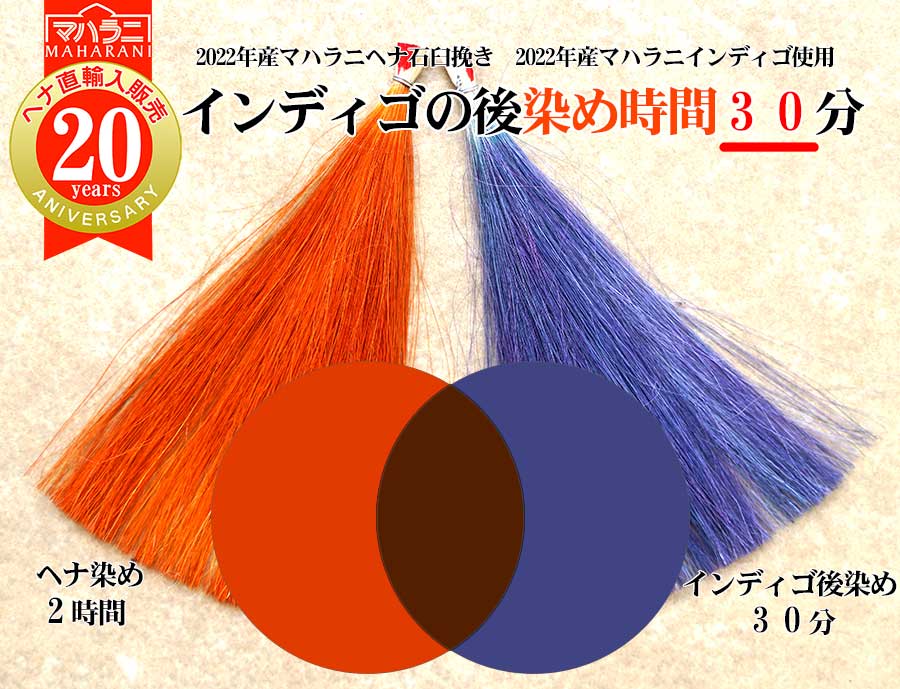 ヘナ染め後インディゴの後染めの染まり方モデル