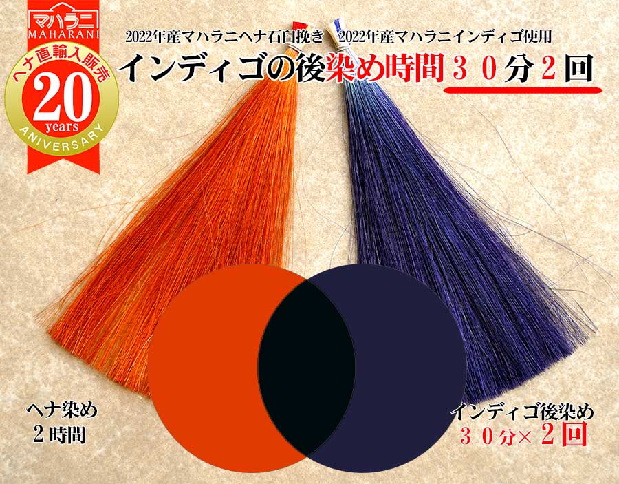 ヘナ染め後インディゴの後染めの染まり方モデル